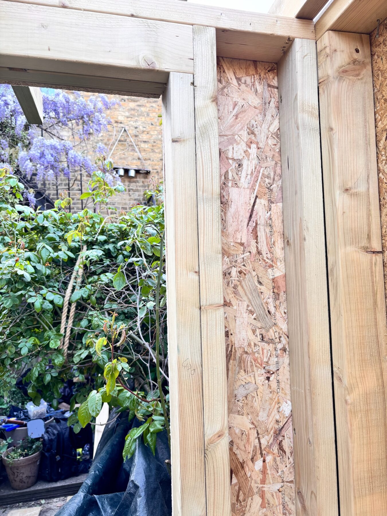 Garden room build progress portrait photo 4